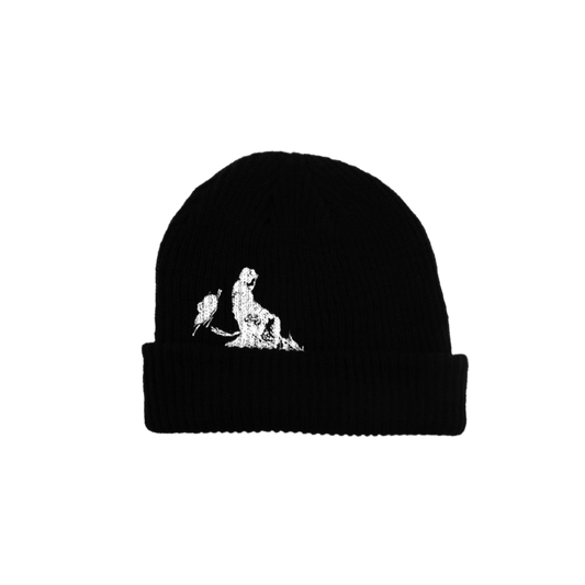 PRAIRIE BOY BEANIE